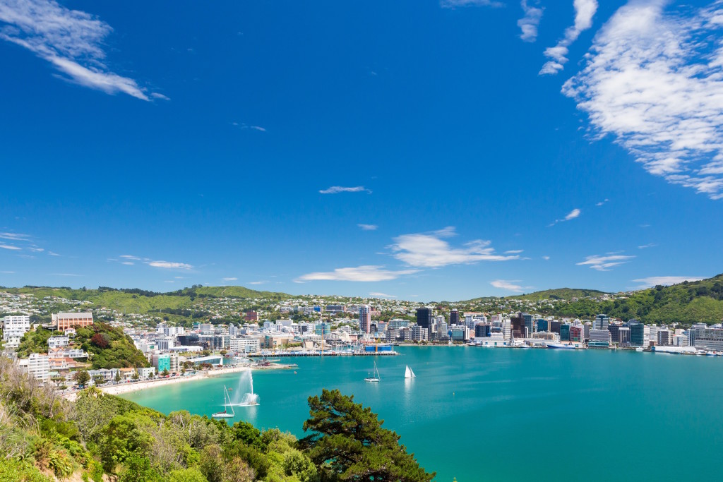 View from Mount Victoria into the bay of Wellington