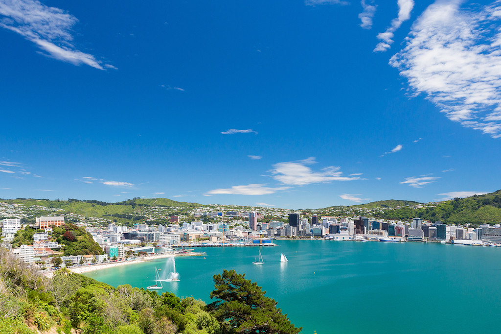 View from Mount Victoria into the bay of Wellington