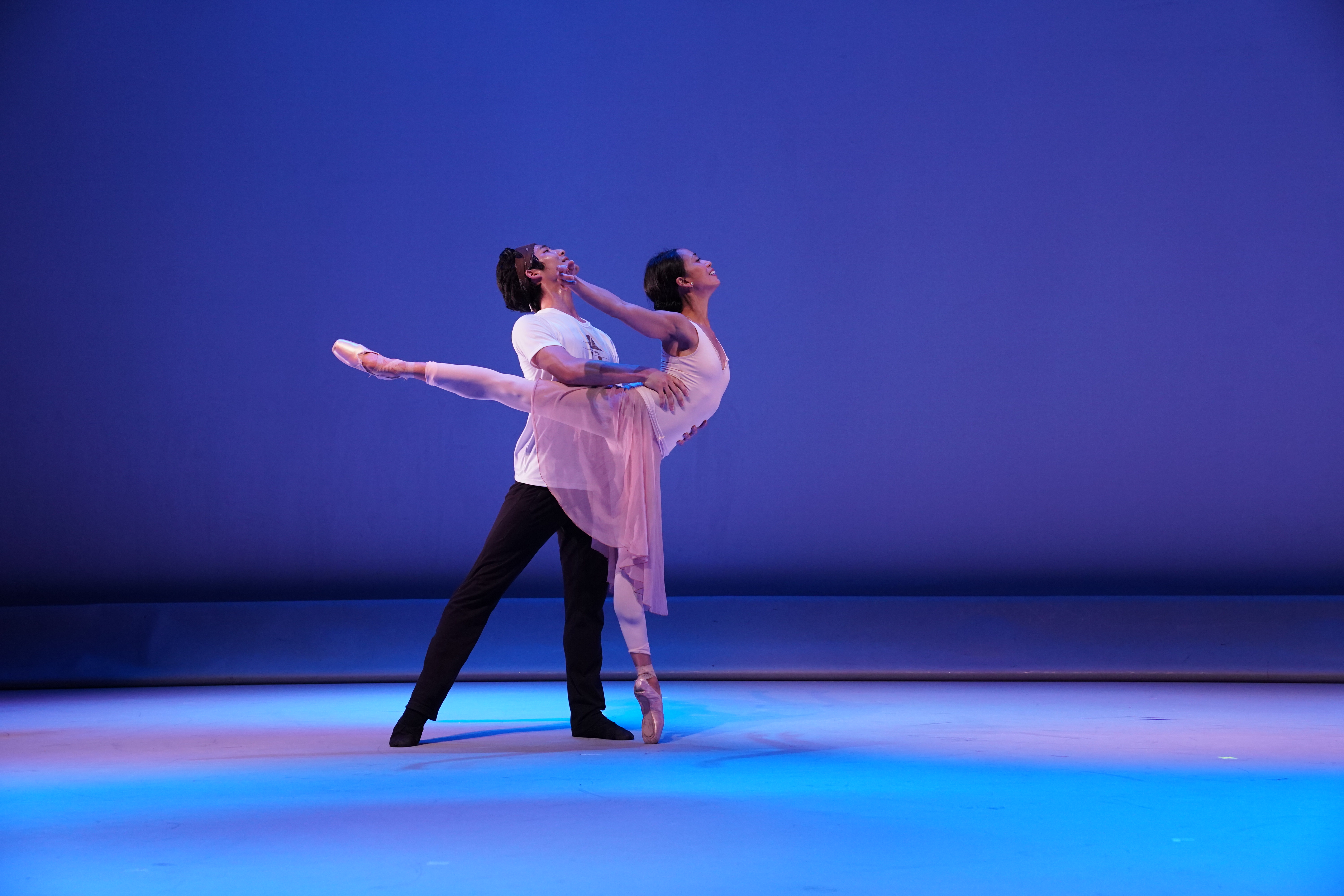 Dance for a cause: An Intimate Evening with Stella Abrera & American Ballet Stars
