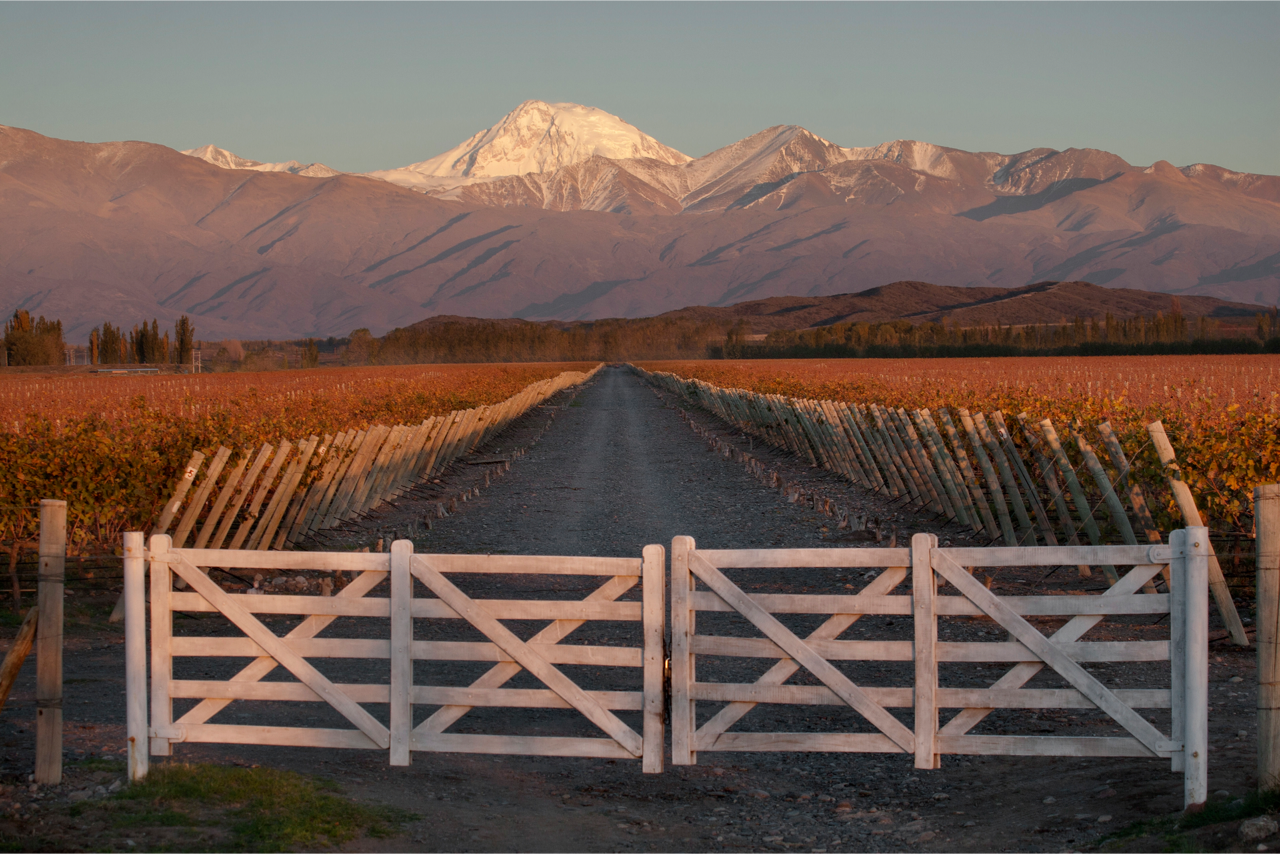 Ain’t no mountain high enough for these winemakers