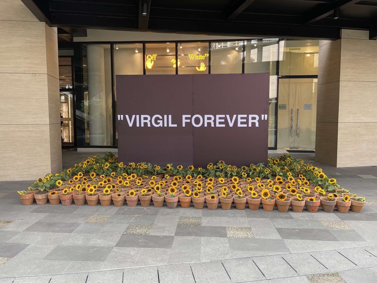 Long Live Virgil 