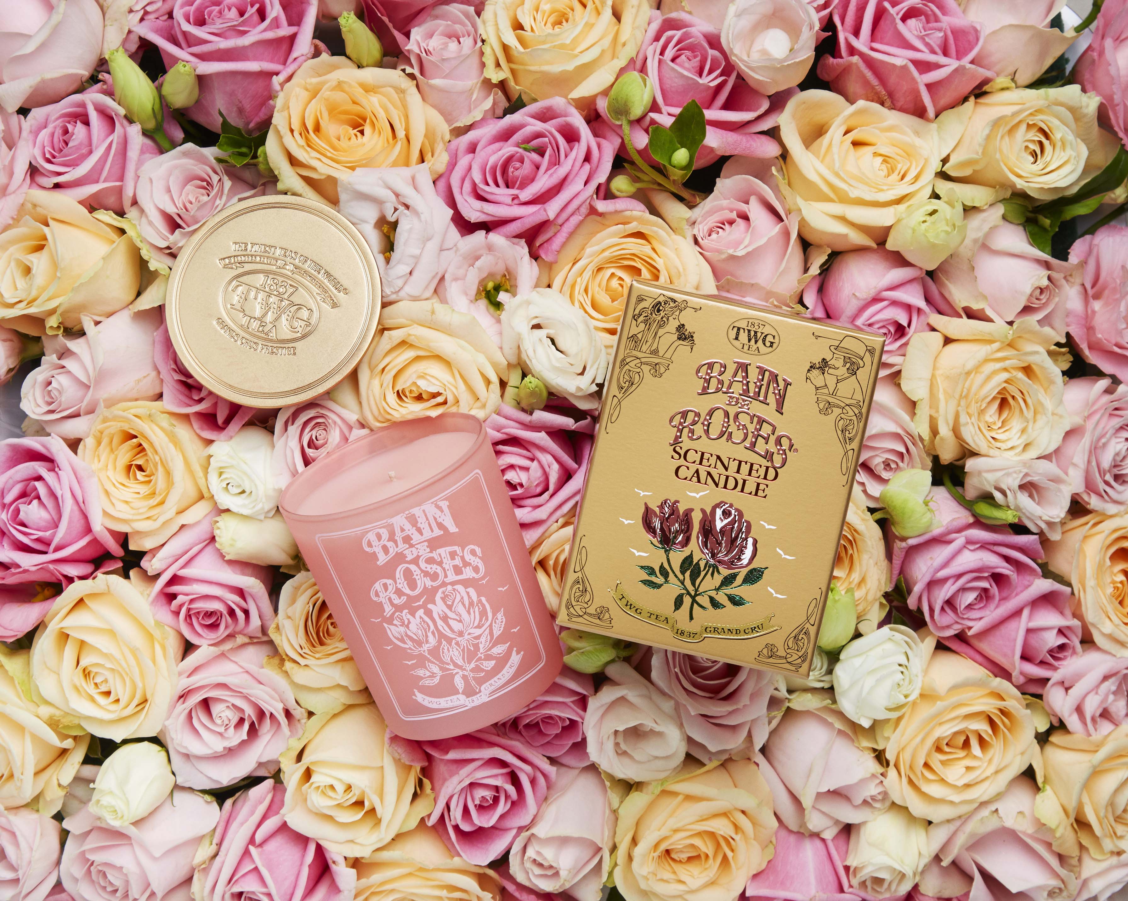 Spice up your morning romance with the best curated teas in town